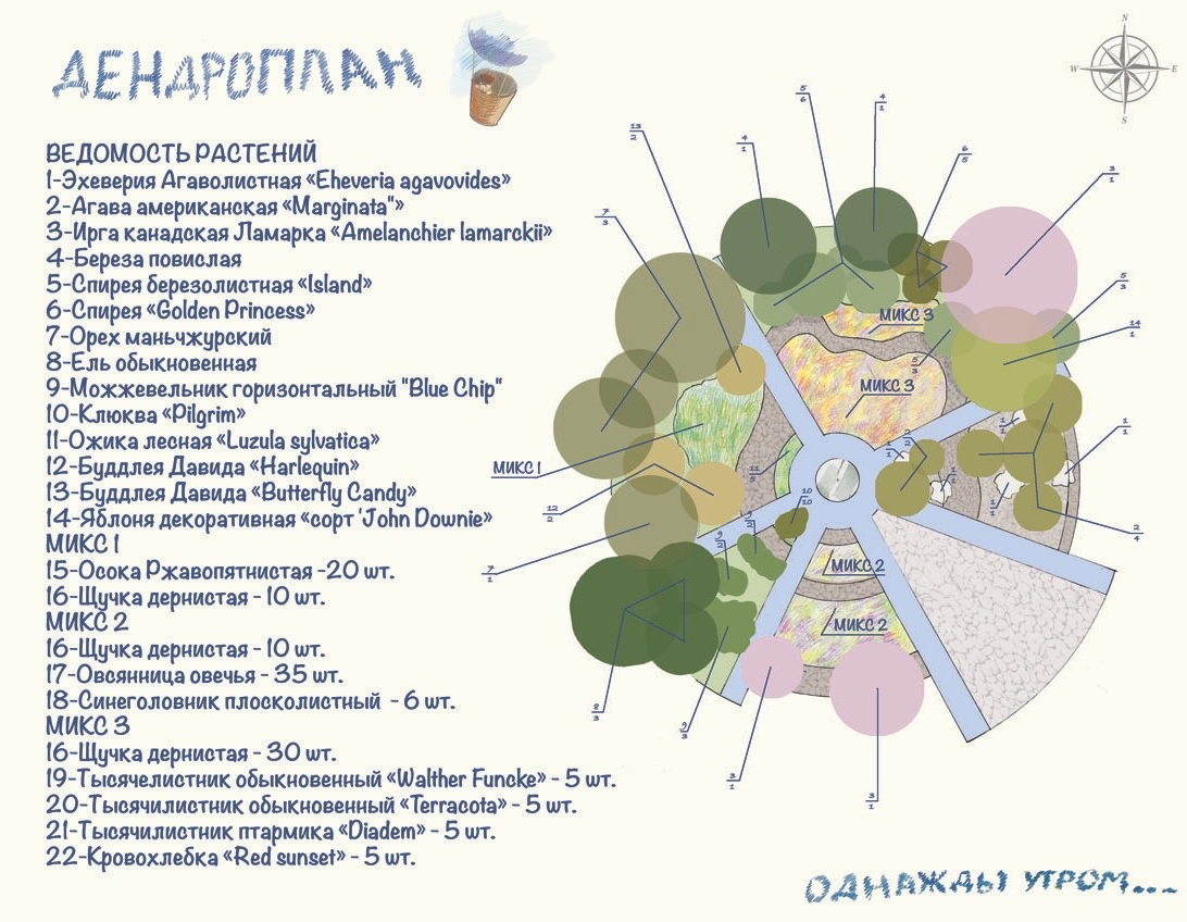 Дендроплан сада Однажды утром